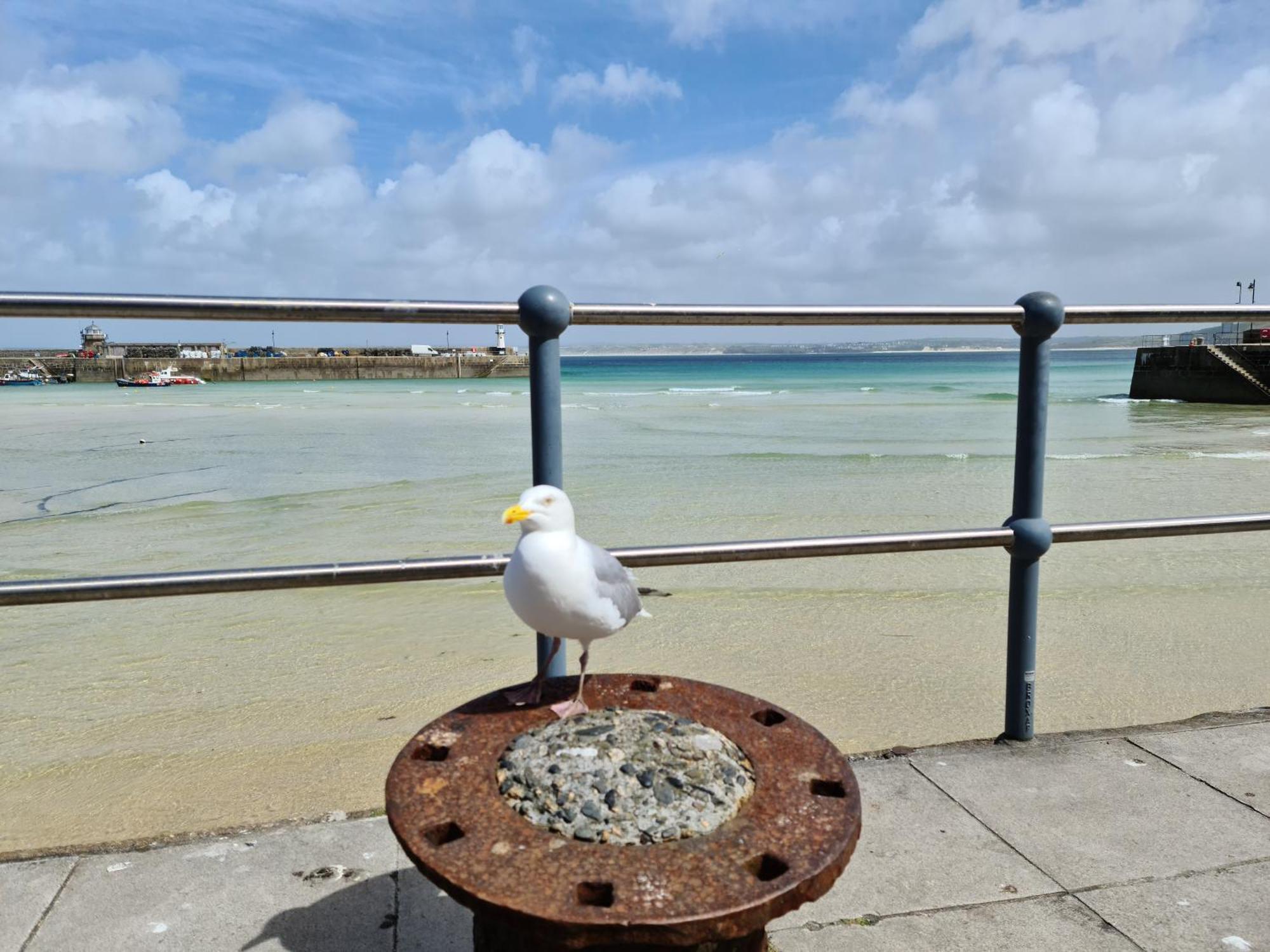 Penzance, Modern Stylish Home, Near Seafront With Gated Parking Holiday home